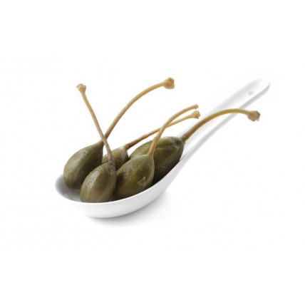 ŠAUKŠTELIS PADAŽAMS TAPASMINI - 133x43x26 mm Hendi